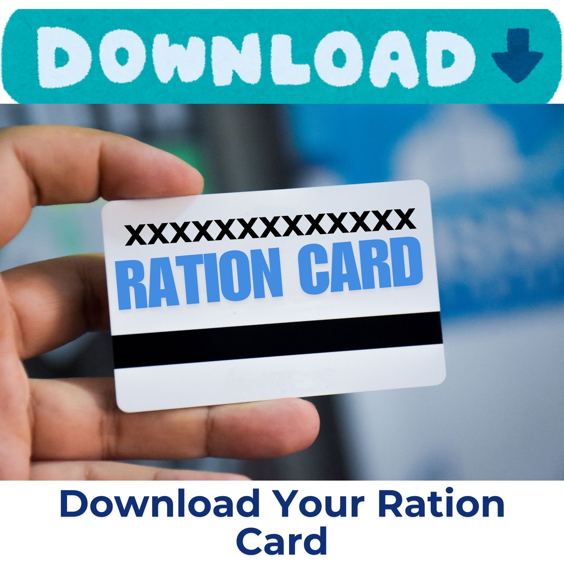 How to Download Your Ration Card Online in 1 Minute?