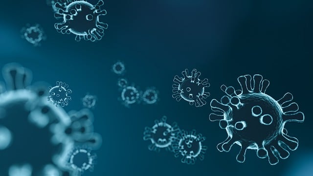 HMPV-Virus